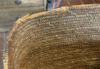 Very Large Important Antique 19th C.  Native American Indian Basket,  Estate Find 12