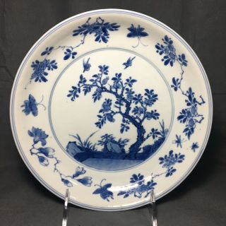 Antique 18th C Chinese Blue And White Porcelain Plate Kangxi Period 1662 - 1722