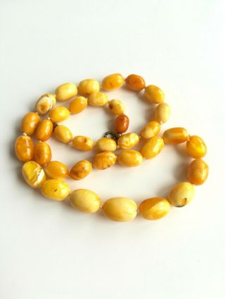20 Grams Vintage Butterscotch Egg Yolk Natural Baltic Amber Necklace Beads