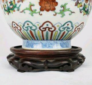 PERFECT LARGE ANTIQUE CHINESE DOUCAI PORCELAIN FLOWER VASE QING DYNASTY GUANGXU 8