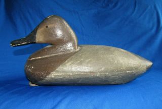 Canvasback Drake By Nelson E.  Manning Vintage Duck Decoy