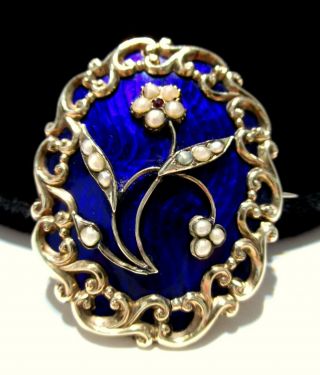 Exquisite Early Victorian Gf Seed Pearl Blue Enamel Mourning Hair Locket Brooch