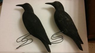 Antique Vintage Folk Art Carved Painted Crow Decoys (herters?) Metal Legs