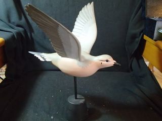 Flying Mourning Dove Decoy By Manfred Scheel Quakertown,  Pa With Stand
