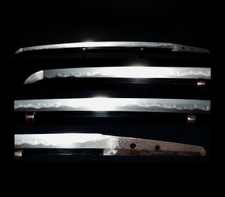 WAKIZASHI Antique Japanese Sword 54.  8cm Signed 統行 Muneyuki,  WWII ARMY - GUNTO 6