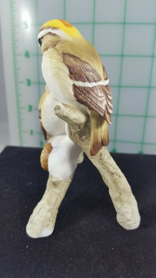 Vintage Andrea by Sade Birds Figurine 7668,  1989 Made in Japan 5