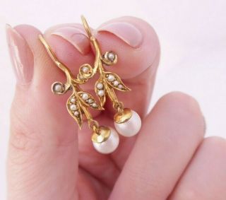 15ct Gold Seed Pearl Earrings,  Art Nouveau