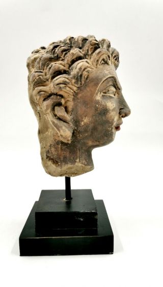 ATTRACTIVE GANDHARA CULTURE CA.  100 AD STUCCO HEAD OF A PRINCE - RARE - R366 5