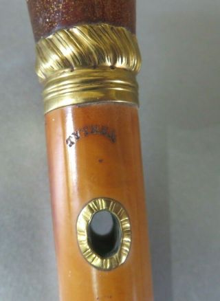 RARE ANTIQUE CIRCA 1755 AMBER & GOLD TOPPED GENTLEMANS WALKING CANE BY TYTHER 2
