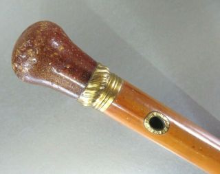 RARE ANTIQUE CIRCA 1755 AMBER & GOLD TOPPED GENTLEMANS WALKING CANE BY TYTHER 3