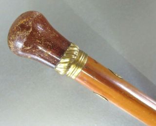 RARE ANTIQUE CIRCA 1755 AMBER & GOLD TOPPED GENTLEMANS WALKING CANE BY TYTHER 4