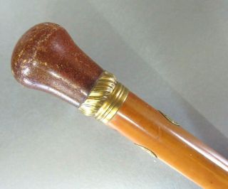 RARE ANTIQUE CIRCA 1755 AMBER & GOLD TOPPED GENTLEMANS WALKING CANE BY TYTHER 5