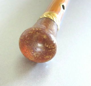 RARE ANTIQUE CIRCA 1755 AMBER & GOLD TOPPED GENTLEMANS WALKING CANE BY TYTHER 6