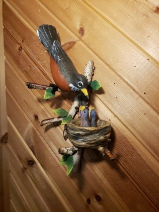 Robin wood carving songbird carving wildlife art duck decoy Casey Edwards 2