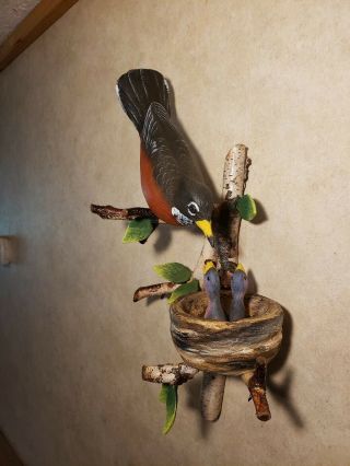 Robin wood carving songbird carving wildlife art duck decoy Casey Edwards 7