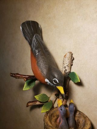 Robin wood carving songbird carving wildlife art duck decoy Casey Edwards 8