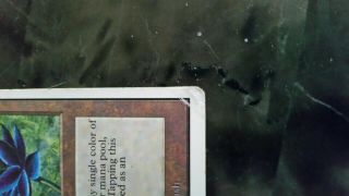 Black Lotus MTG Unlimited - 5