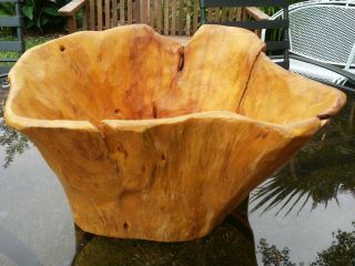 Large Burl Wood Bowl Hand Carved Wooden Tree Trunk Root Bowl Split