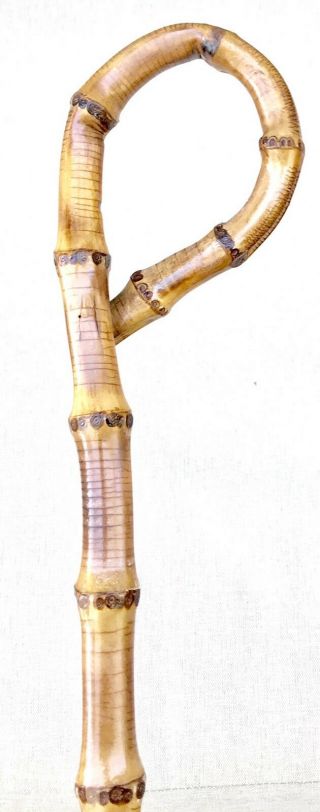 Vintage Antique Elegant Bamboo Shaft Horn Tip Walking Stick Cane Old 37.  5”l