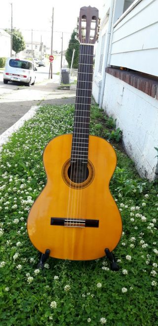 Vintage Takamine Classical C128 Acoustic Guitar