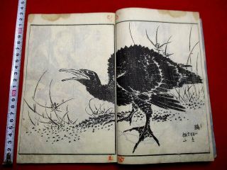 1 - 10 Hokusai Manga Sketch Ukiyoe Japanese Woodblock Print Book
