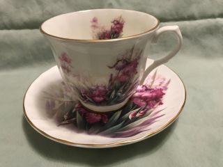 Royal Victorian Fine Bone China Tea Cup & Saucer - Orchids