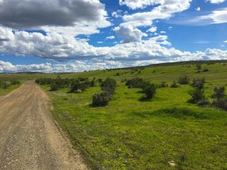 Rare 40 Acre Nevada Ranch Ez Access Paved Road Surveyed Cash