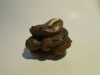 Antique Wood Netsuke Of A Mushrooms Cluster With A Worm And Ants
