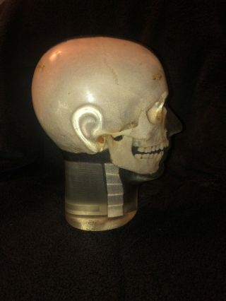 Anthropomorphic Half Angiographic Head Phantom With Step Wedge Rs - 245t Vintage