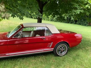 1966 Ford Mustang Convertible 4