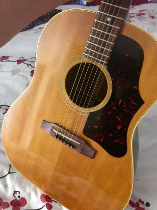 Vintage Gibson J - 50 Acoustic Guitar
