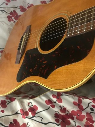Vintage Gibson J - 50 acoustic guitar 2