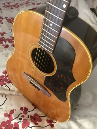 Vintage Gibson J - 50 acoustic guitar 3