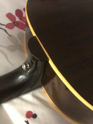 Vintage Gibson J - 50 acoustic guitar 8