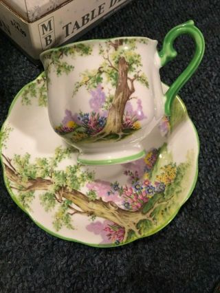Royal Albert Greenwood Tree Tea Cup,  Saucer Really Pretty 8355 H No 774783
