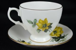 Queen Anne Bone China Yellow Floral Tea Cup and Saucer,  Made in England 3