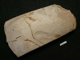 5600y.  O: Wonderful Ax 127mms Danish Neolithic Stone Age Flint Funnel Beaker Cult