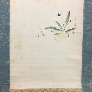 Japanese Hanging Scroll Vtg Kakejiku Kakemono Painting Calligraphy Flower Sc405