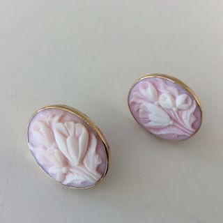 Victorian Queen Conch Shell Cameo 14k Gold Oval Vintage Earrings Screw On 6.  6gr