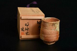 T6587: Japanese Shigaraki - Ware Youhen Pattern Sencha Teacup Yunomi W/signed Box