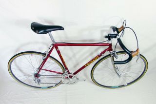 Vintage 1983 COLNAGO CAMPAGNOLO 50th NUOVO MEXICO SARONNI 52x53cm BIKE all orig 2