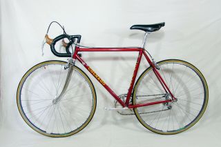 Vintage 1983 COLNAGO CAMPAGNOLO 50th NUOVO MEXICO SARONNI 52x53cm BIKE all orig 3