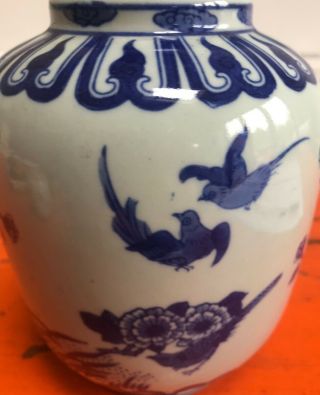 Antique Chinese Blue & white stoneware vase Bird blossom design 4
