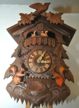 Vintage Animated Squirrels Musical German Black Forest Cuckoo Clock 15 " 1 - Day