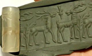 Intact Rare Near Eastern Cylinder Seal Of Deer Pendant 7.  5gr 30.  0mm