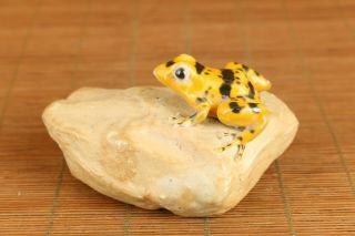 Chinese Porcelain Hand Carved Stone Frog Statue Collectable