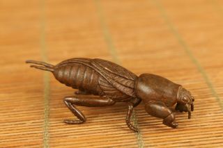 Rare Chinese Old Red Copper Hand Carved Mole Cricket Statue Collectable
