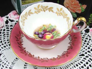 Aynsley Orchard Fruit D Jones Blush Pink Gold Trim Oban Tea Cup & Saucer
