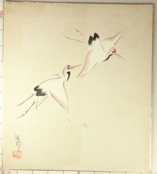 Is38 Shikishi Bird Animal Japanese Art Painting Nihonga Picture Geijyutu