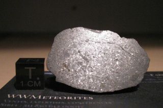 Meteorite Nwa 8785 - Rare El3 Enstatite Chondrite - Main Mass
